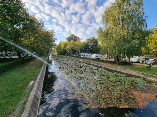 campery asone - WhatsApp Image 2021-11-04 at 13.11.25